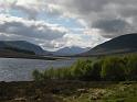 20100525_fwtoup 025
